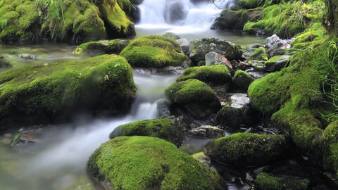 Wasserfall mit grünen Steinen Wasserfall mit grünen Steinen